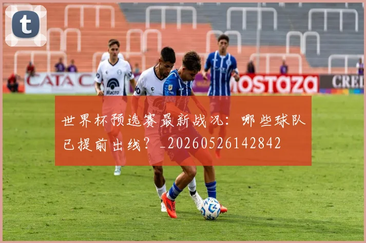世界杯预选赛最新战况：哪些球队已提前出线？_20260526142842